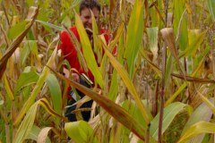 esgSeminar-2010-0049